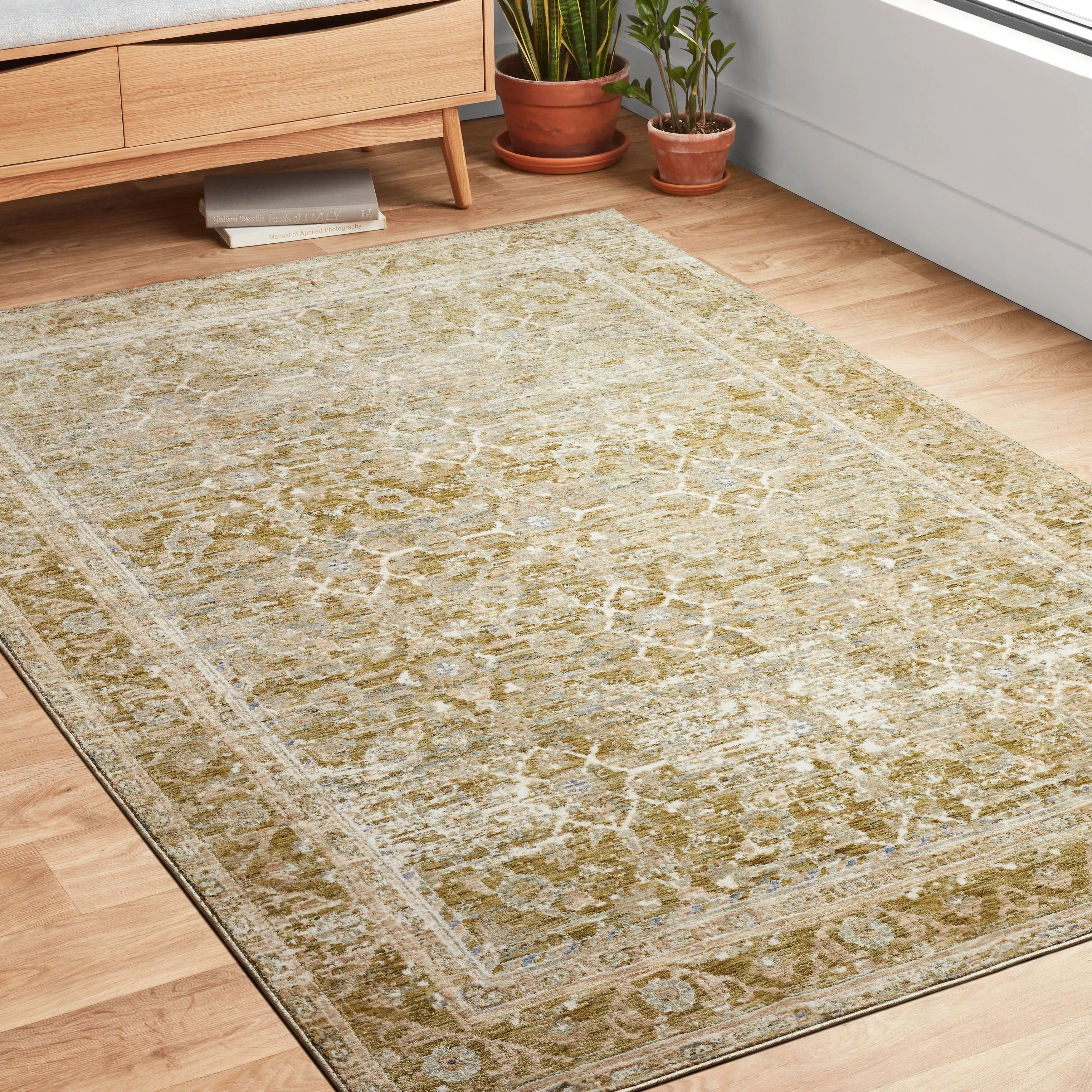 Alexander Home Austen Antique Washed Inspired Area Rug