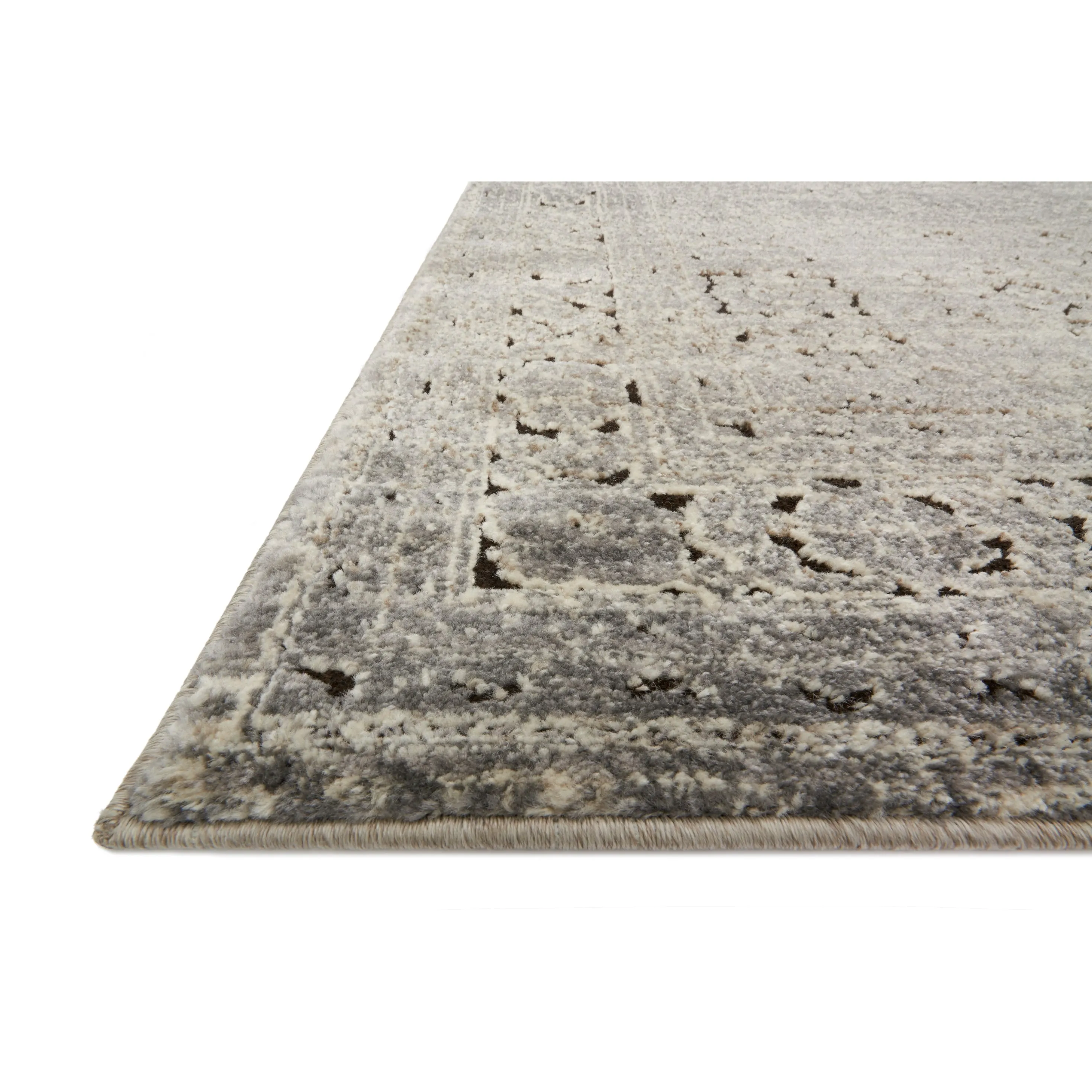 Alexander Home Carissa Distressed Floral Border Area Rug
