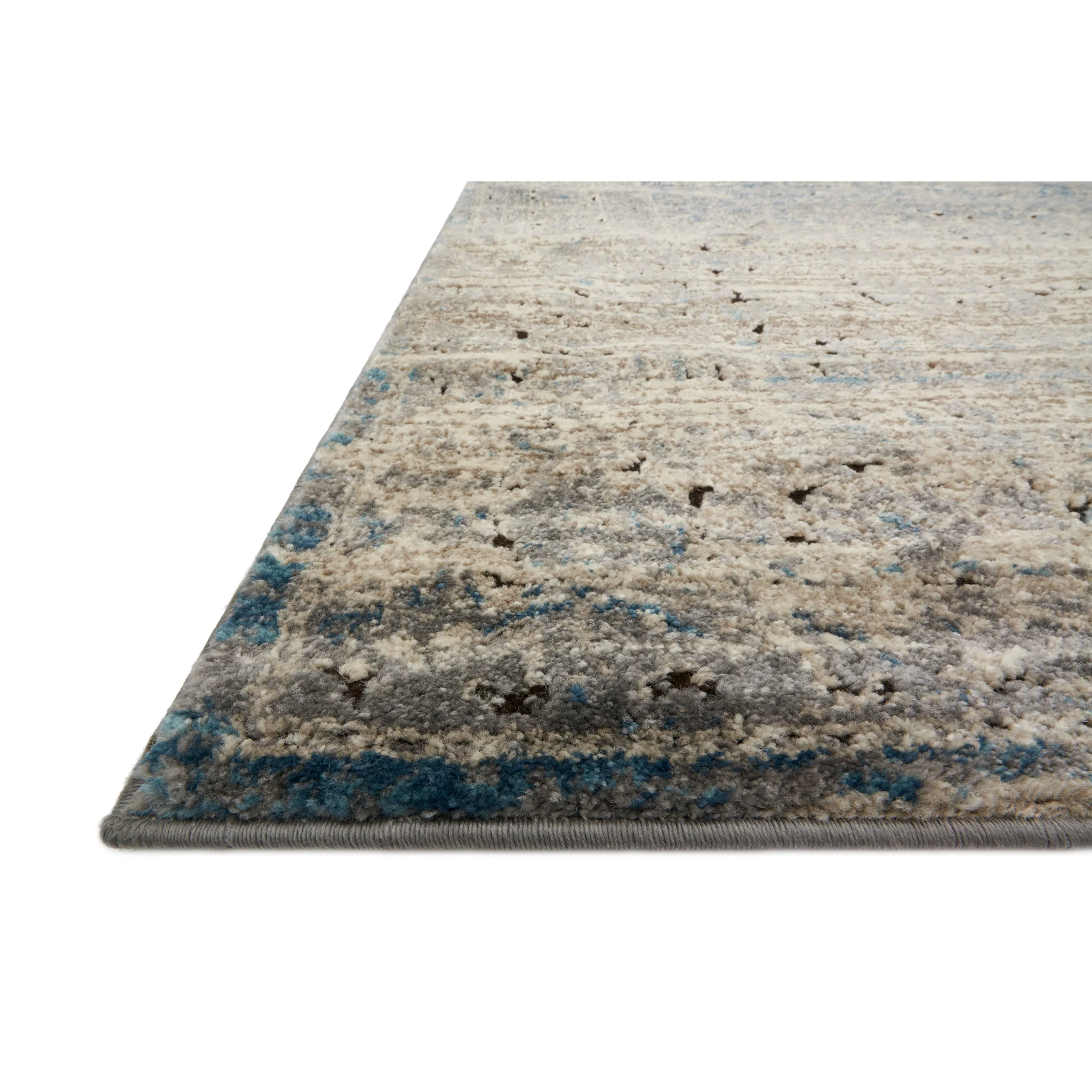 Alexander Home Carissa Distressed Floral Border Area Rug