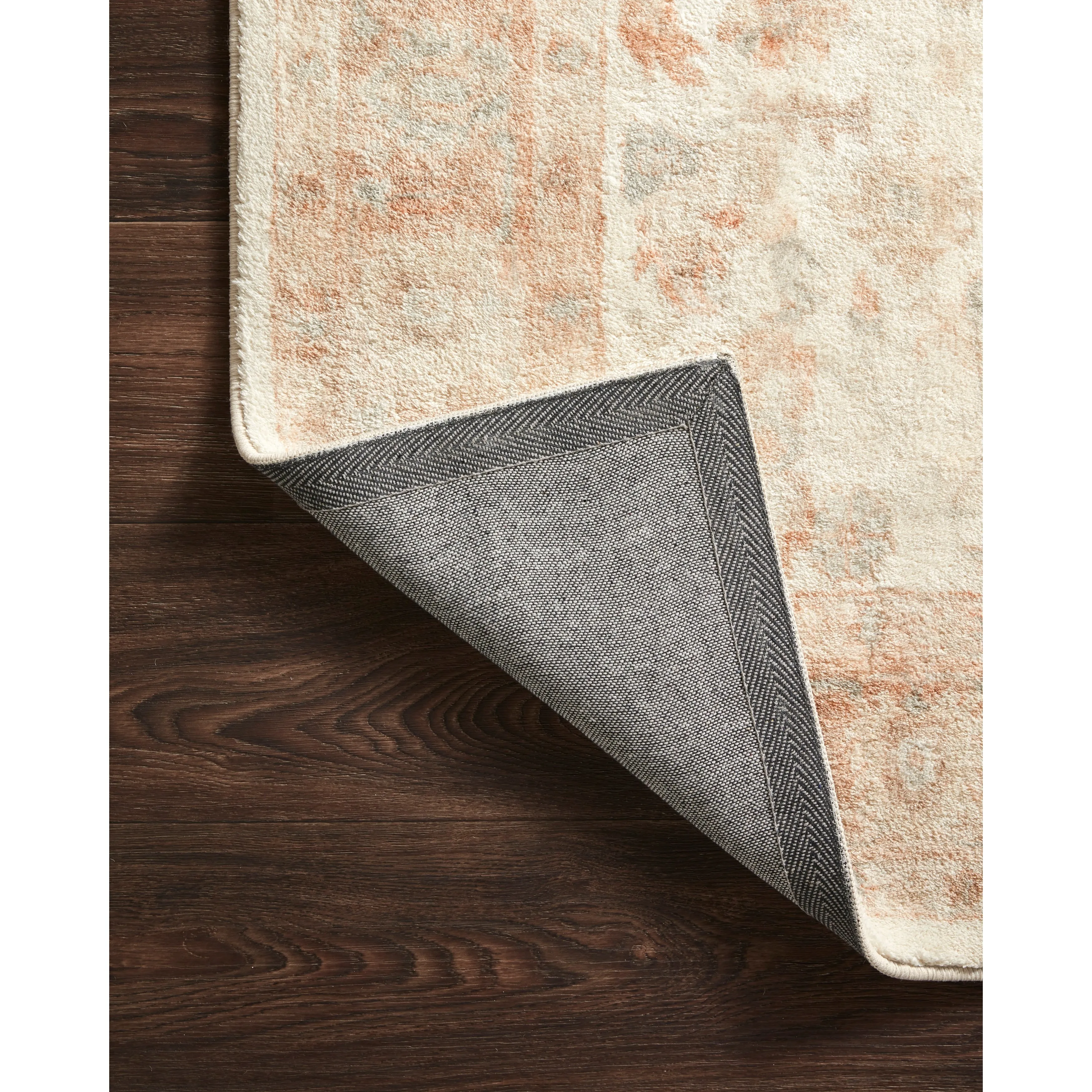 Alexander Home Juliet Medallion Ultra-Soft Distressed Oriental Rug