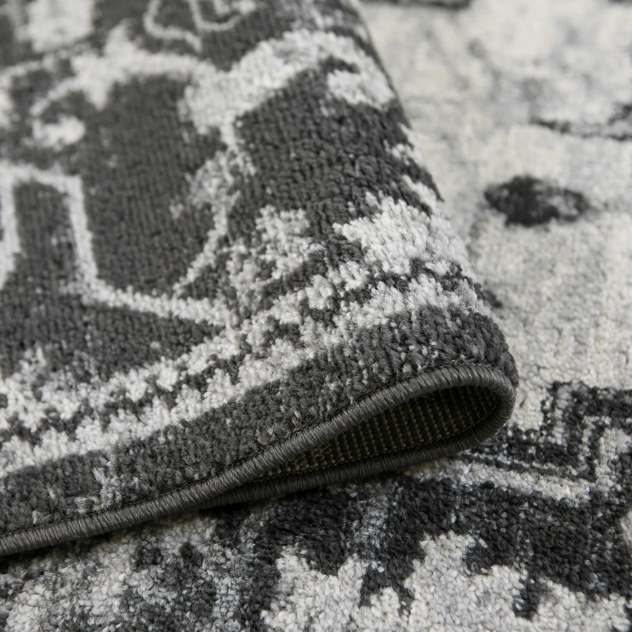 Alvia Yana Medallion Area Rug