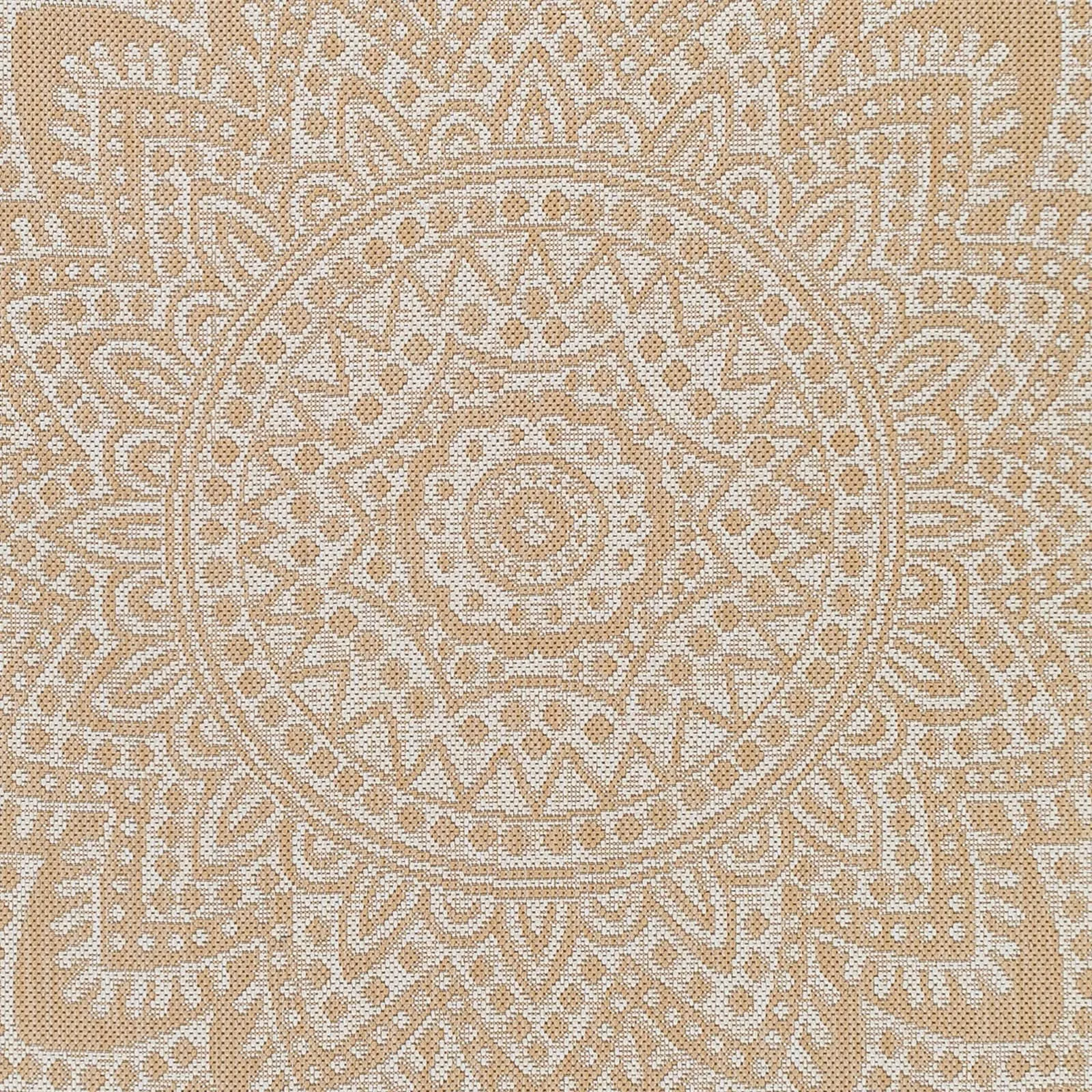 Amal Indoor/ Oudoor Casual Mandala Area Rug