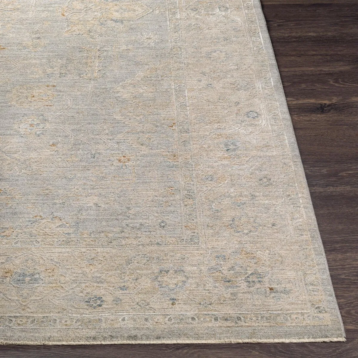 Anthony Traditional Area Rug
