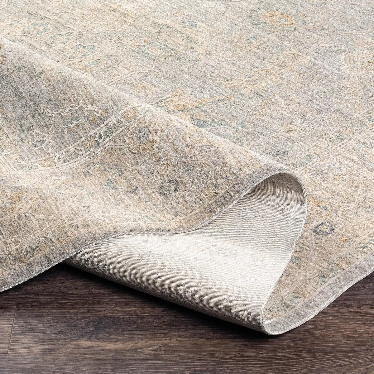Anthony Traditional Area Rug