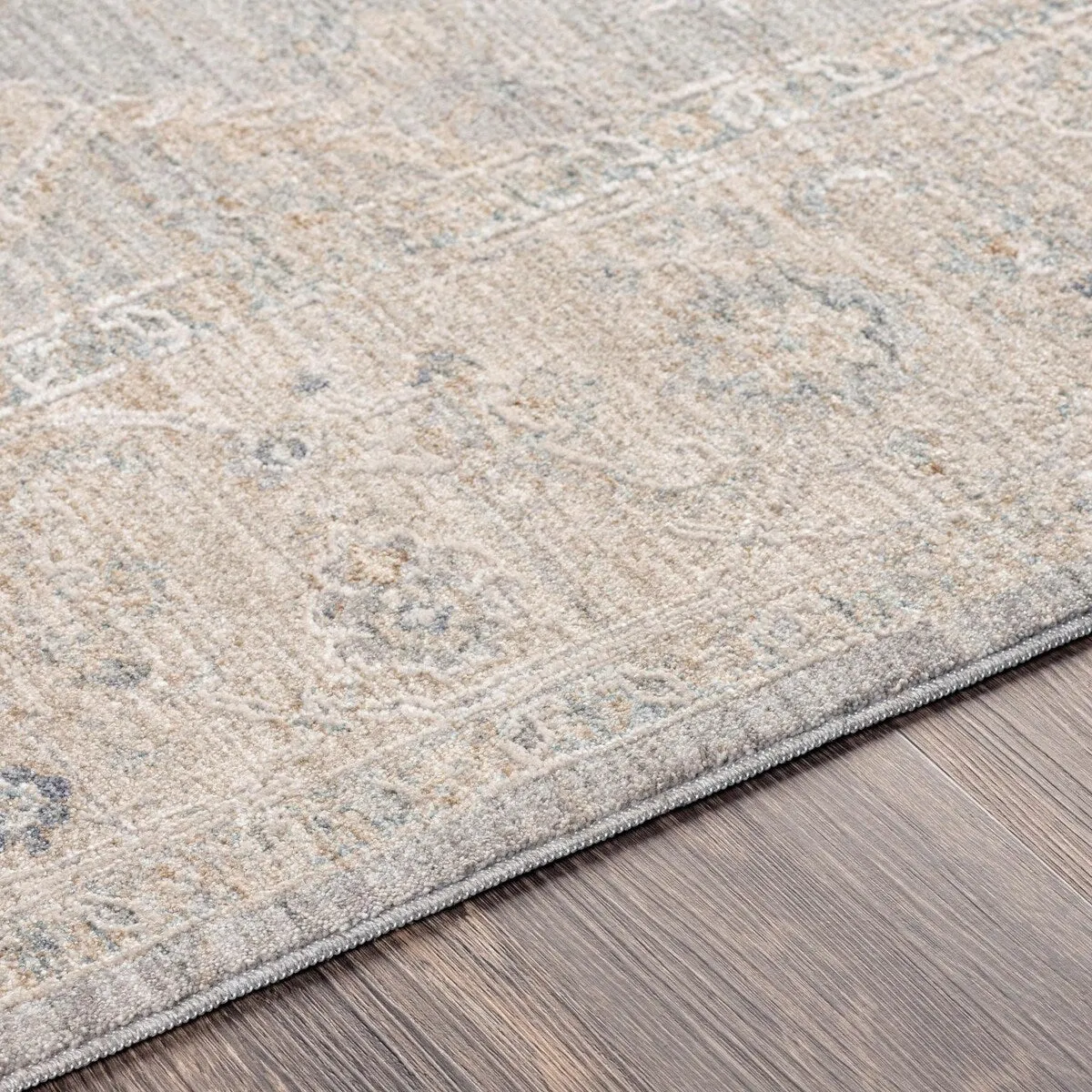 Anthony Traditional Area Rug