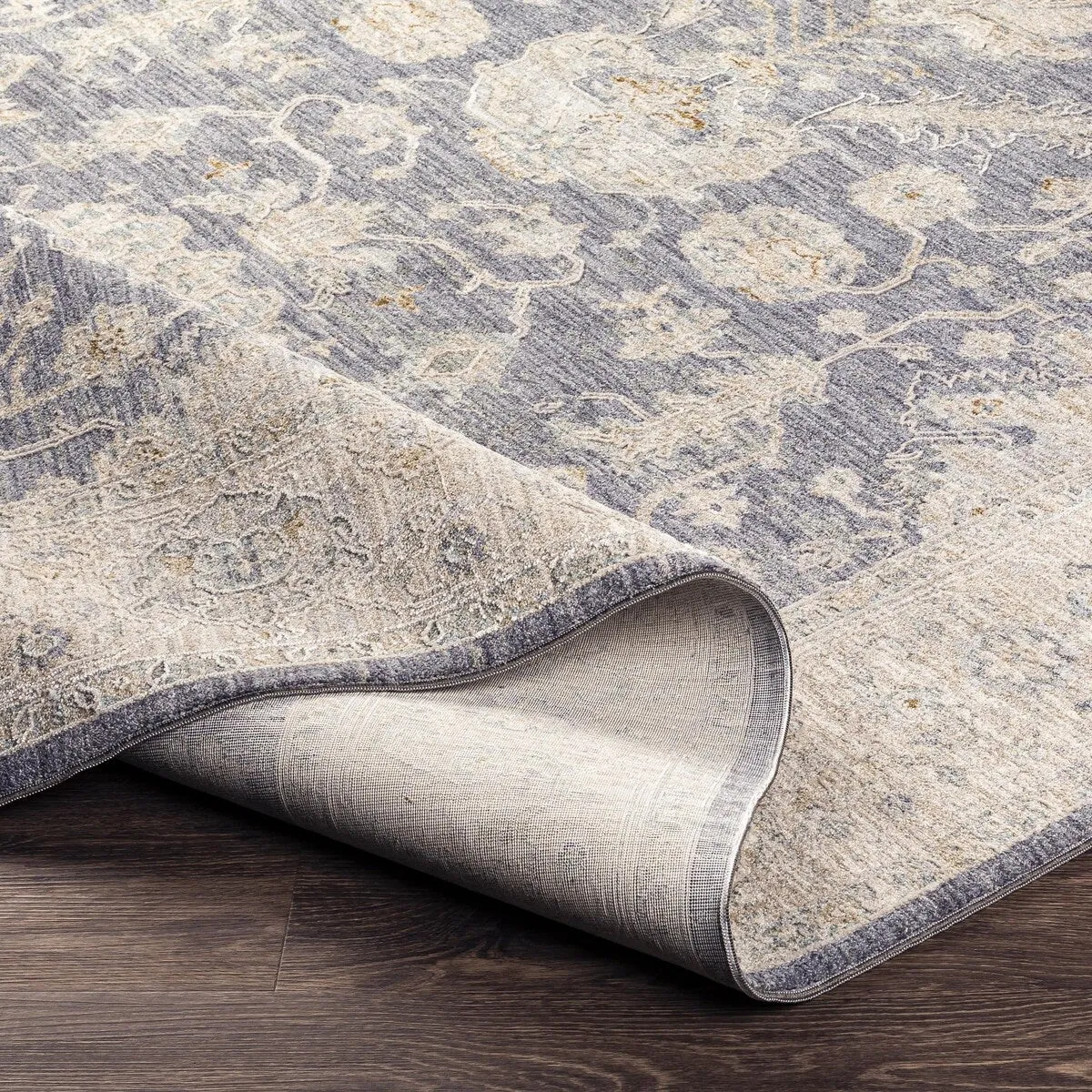 Anthony Traditional Area Rug