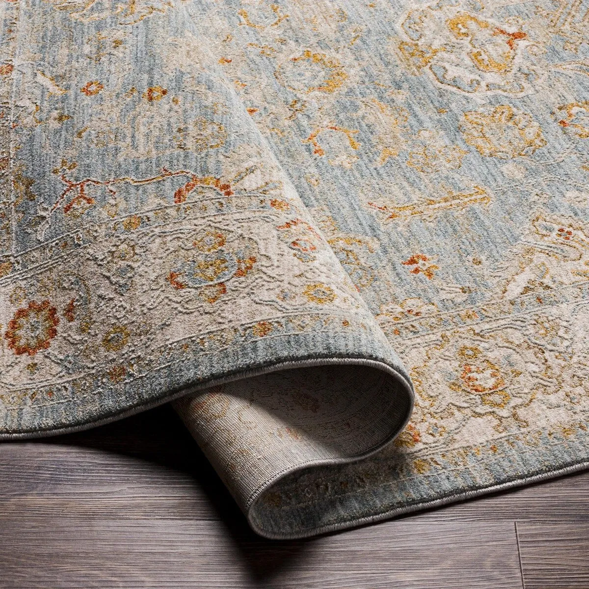 Anthony Traditional Area Rug