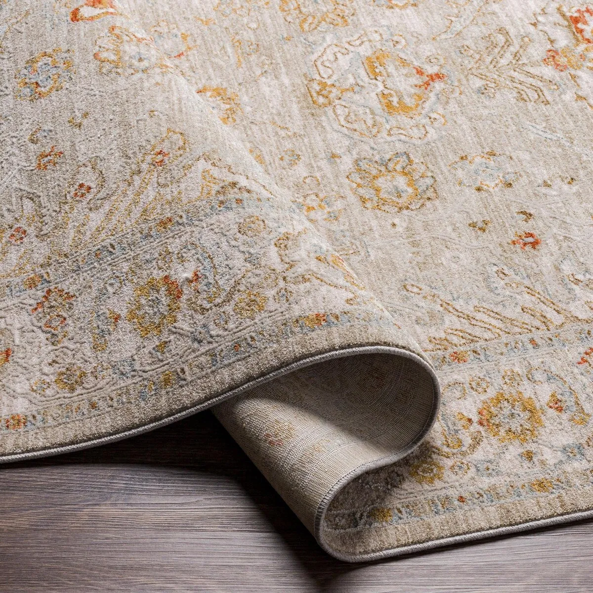 Anthony Traditional Area Rug