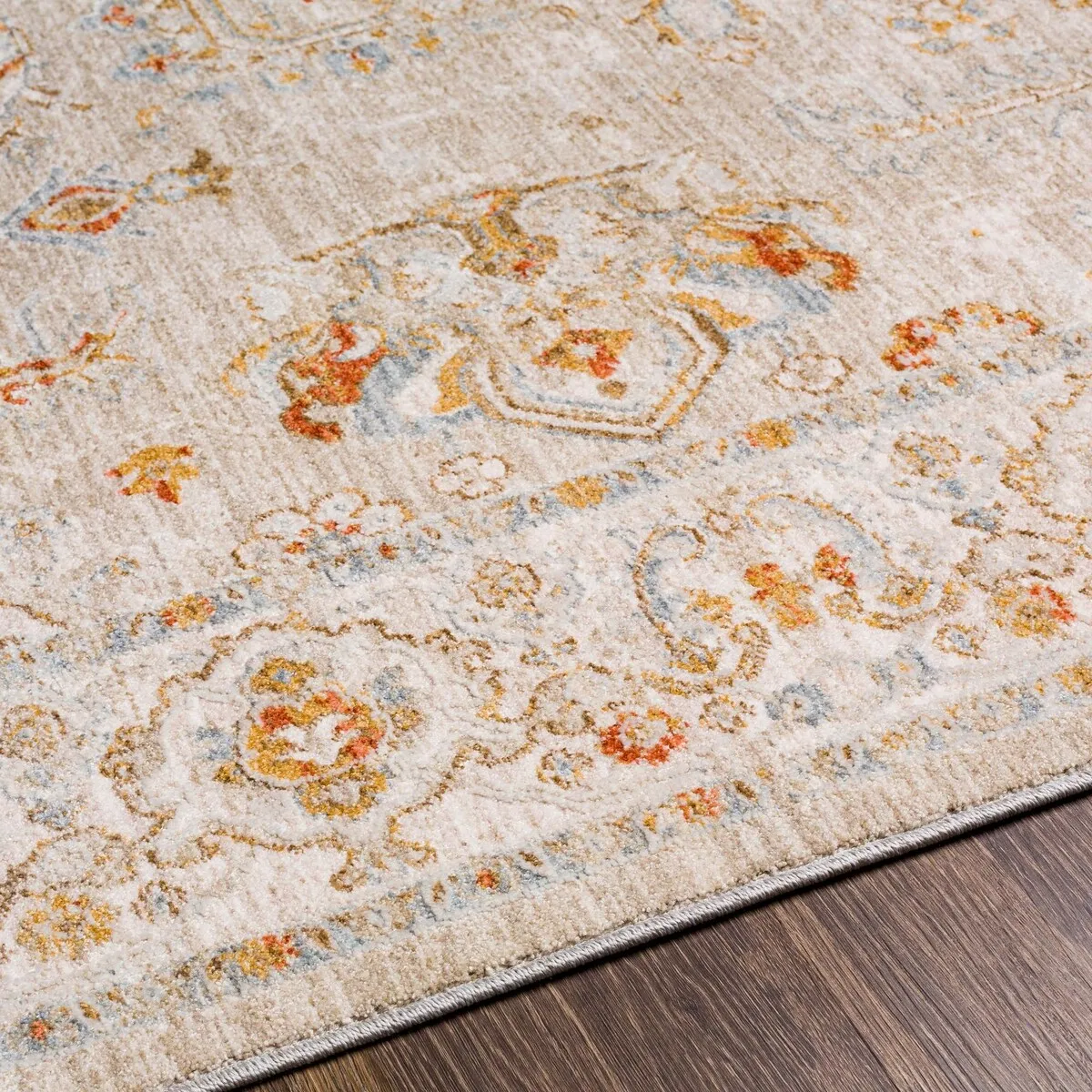 Anthony Traditional Area Rug