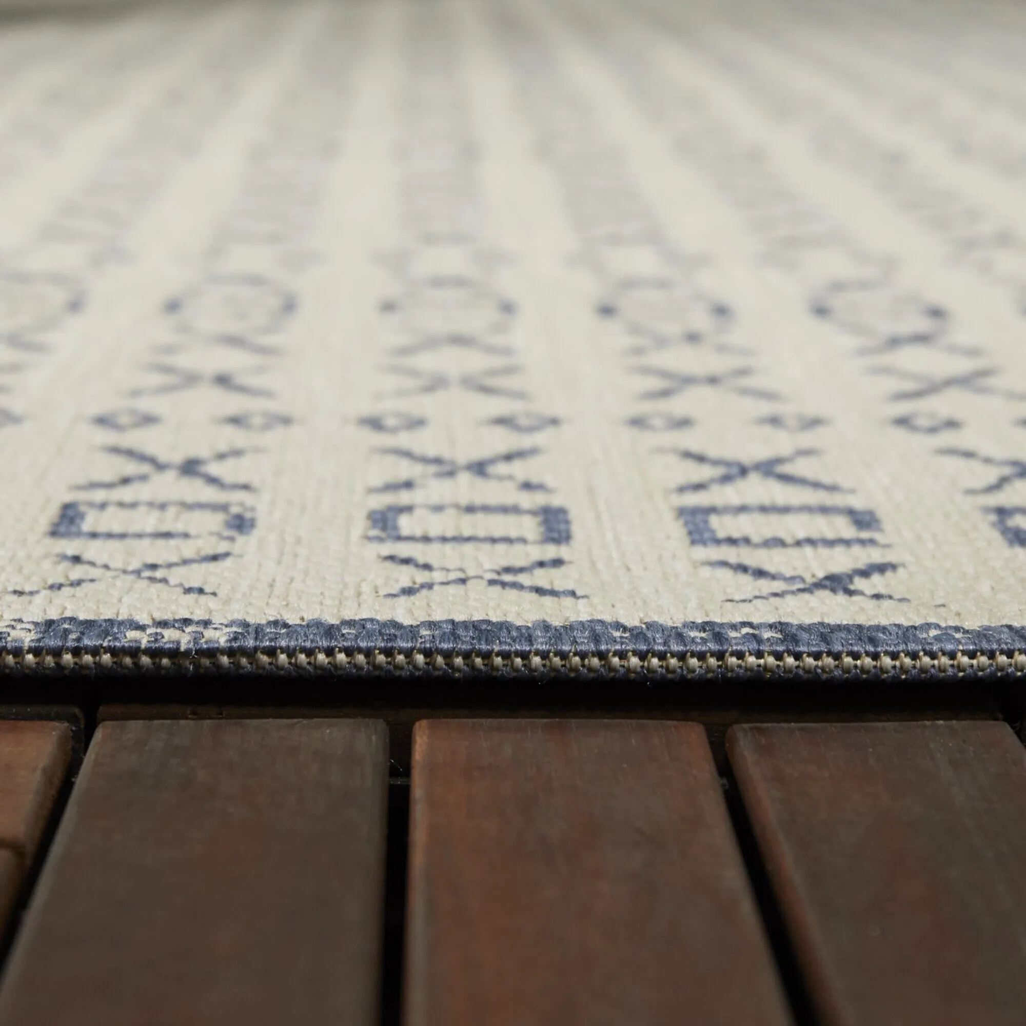Carroll Tribal Indoor/Outdoor Area Rug