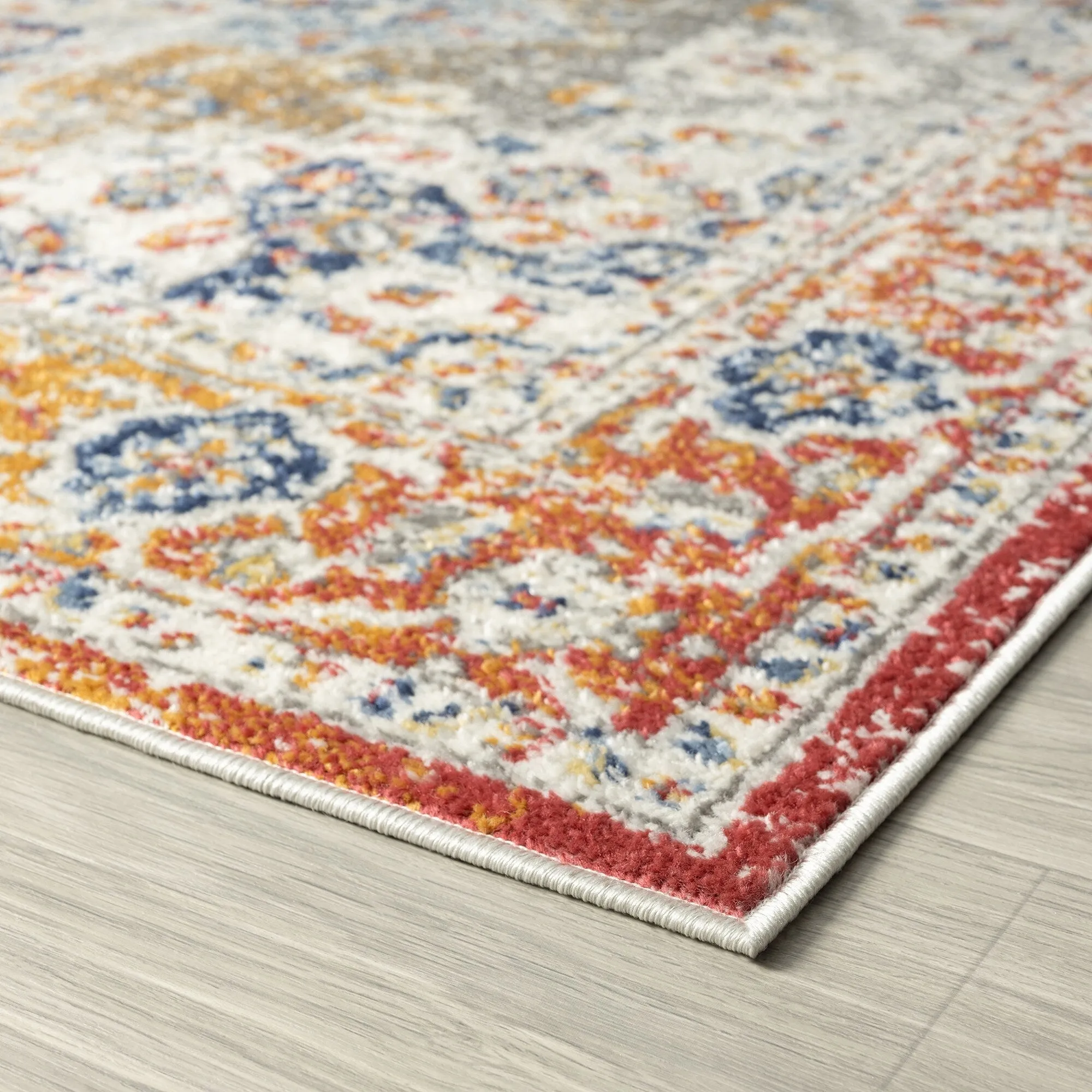 Chesney Bohemian & Eclectic Medallion Indoor Area Rug