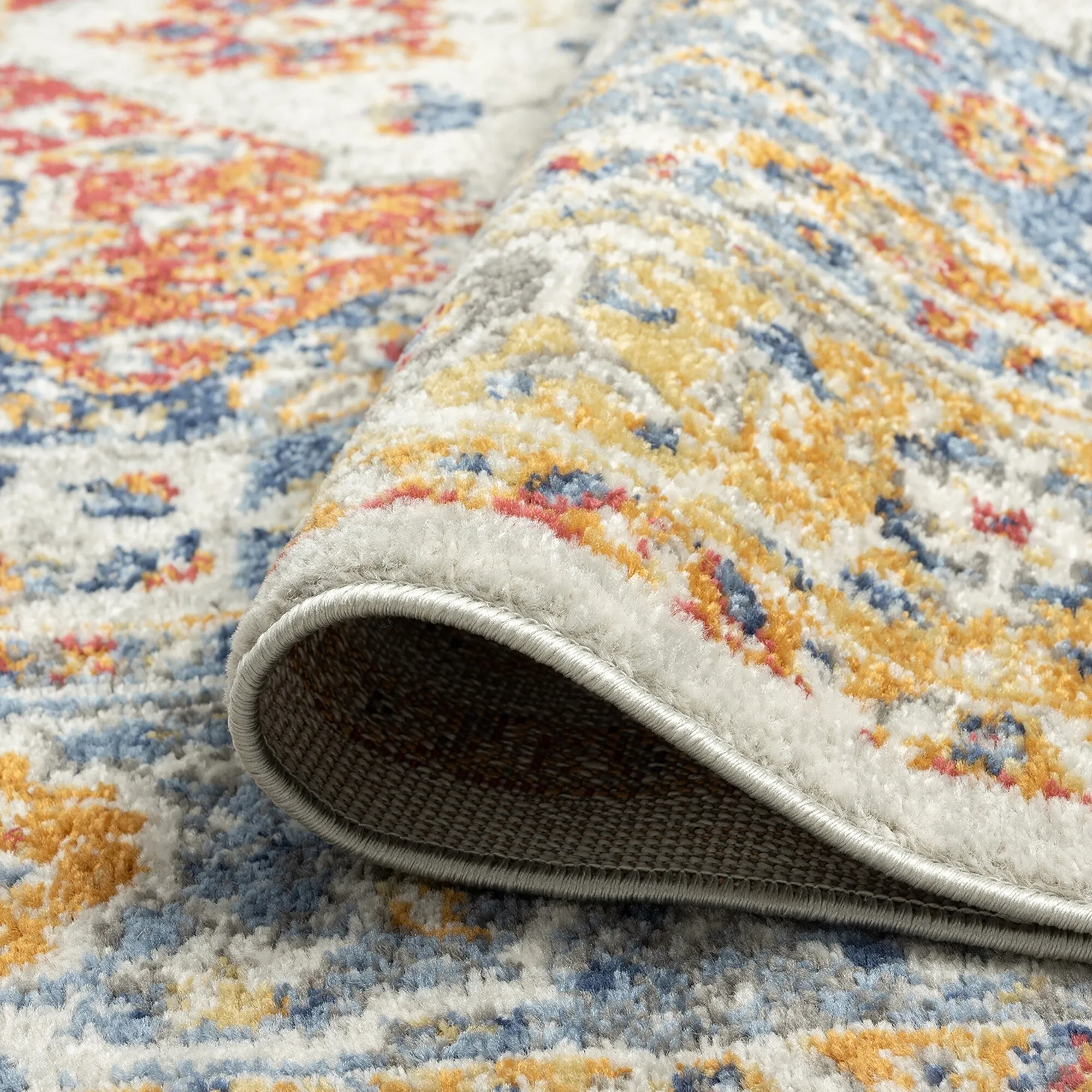 Chesney Bohemian & Eclectic Medallion Indoor Area Rug