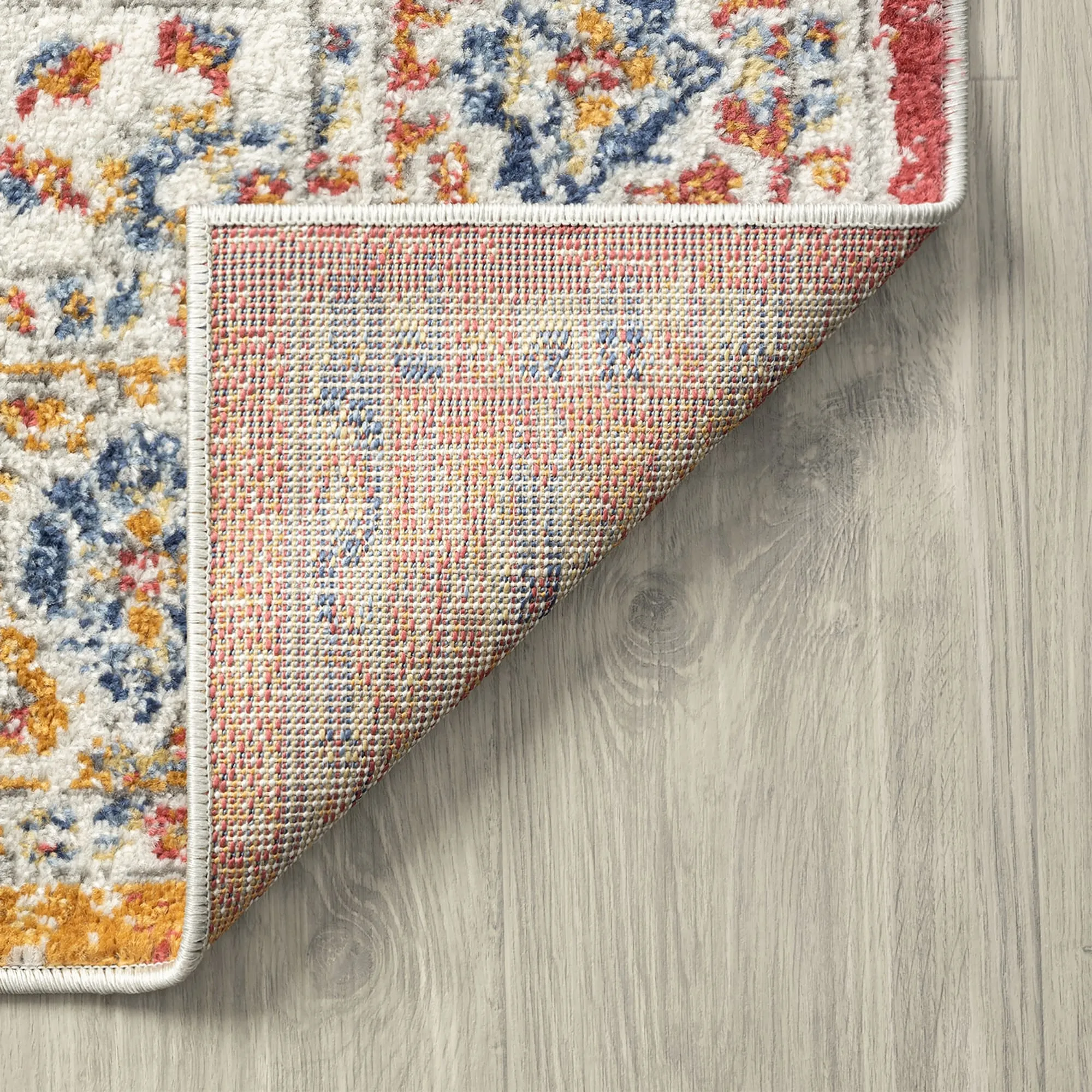 Chesney Bohemian & Eclectic Medallion Indoor Area Rug