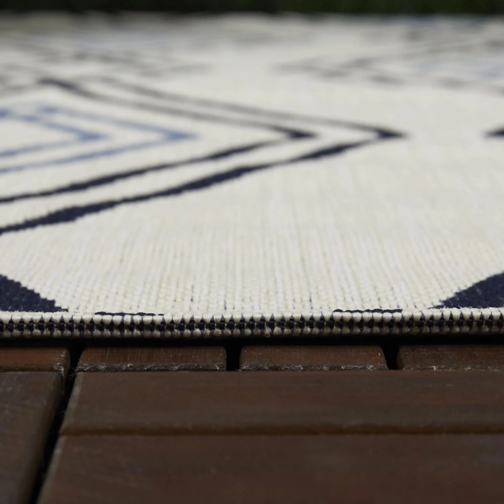Cory Trellis Indoor/Outdoor Area Rug