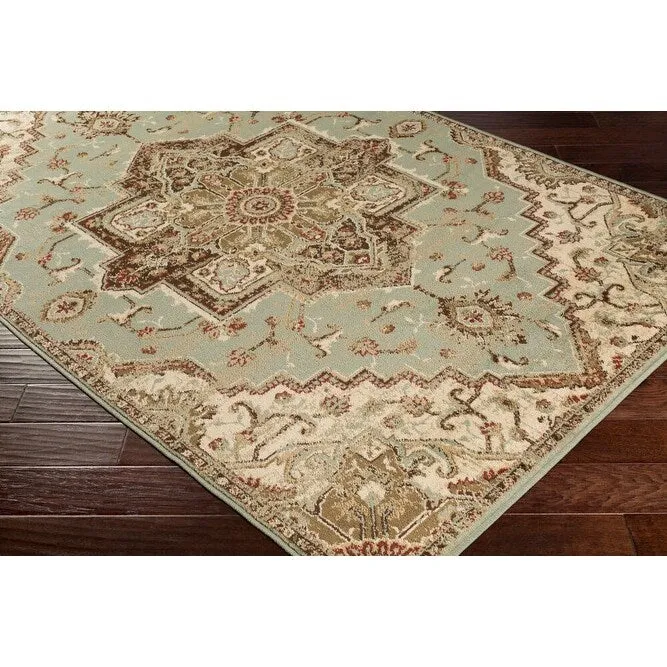 Demetria Traditional Sage Area Rug - 8' 10 x 12' 9