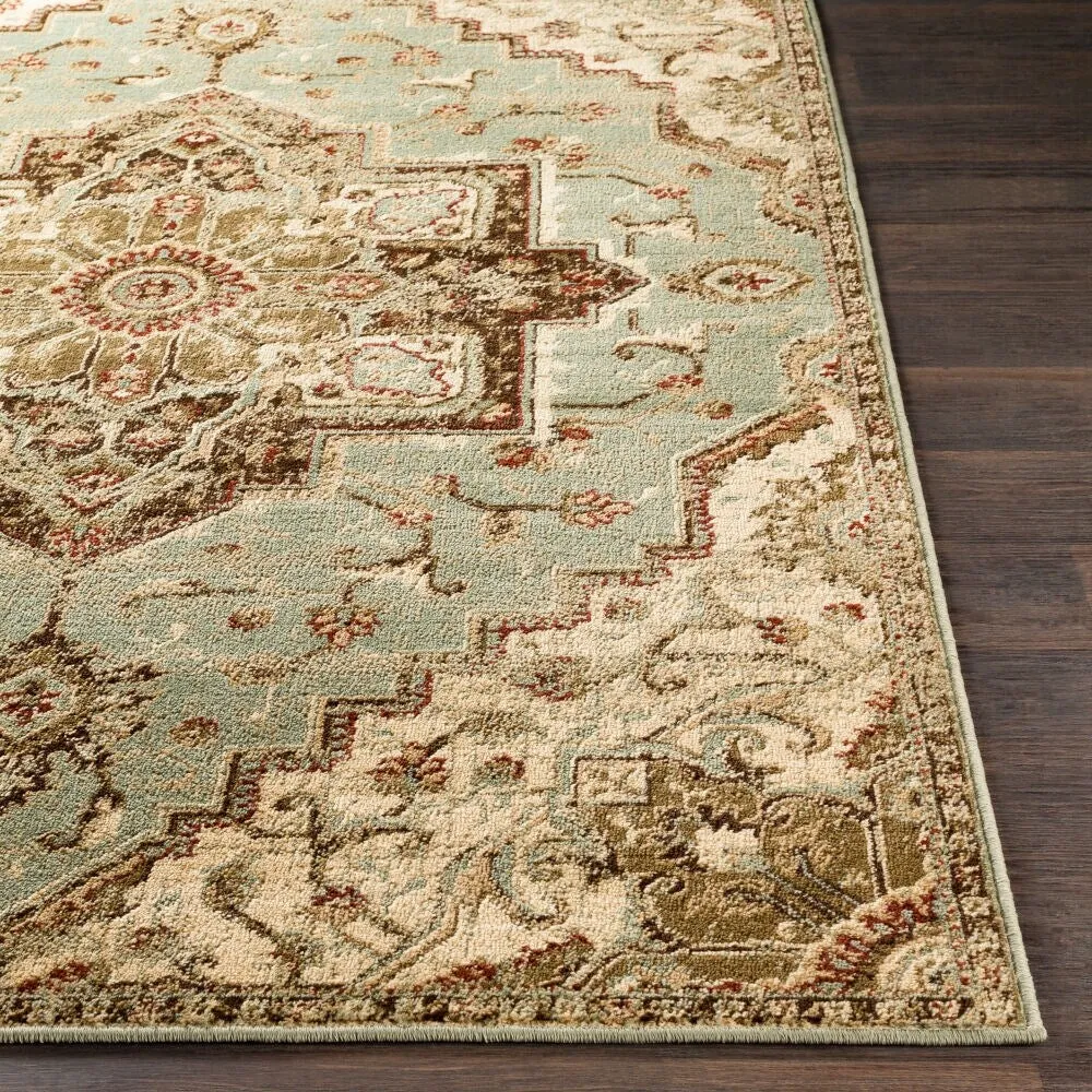 Demetria Traditional Sage Area Rug - 8' 10 x 12' 9
