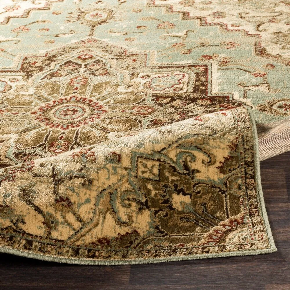 Demetria Traditional Sage Area Rug - 8' 10 x 12' 9