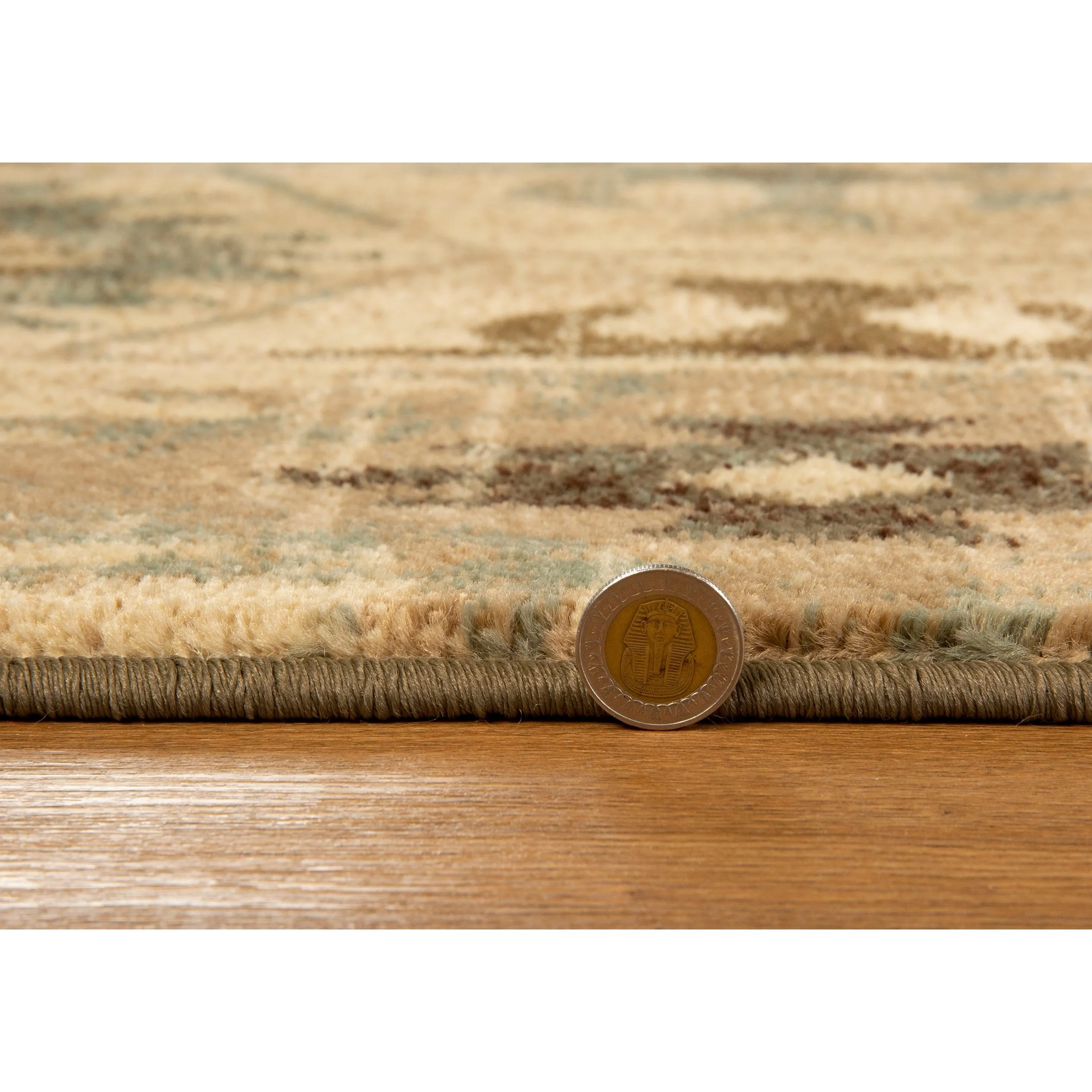 Domani Chandra Southwestern Medallion Area Rug