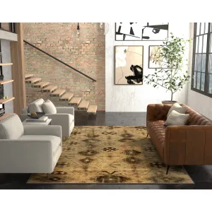 Domani Chandra Southwestern Medallion Area Rug