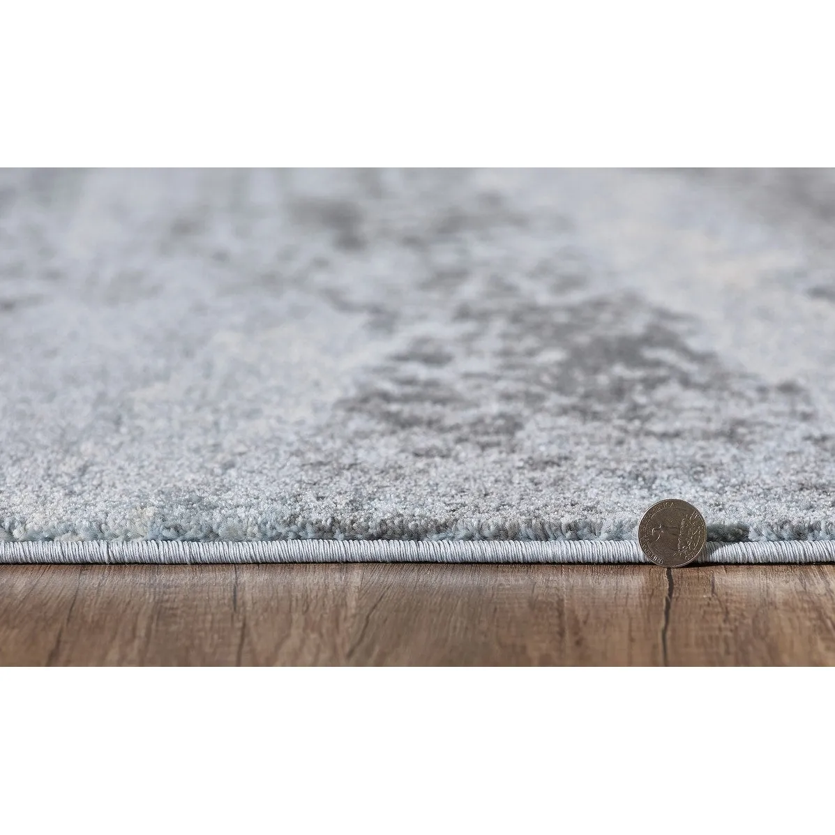Domani Globe Distressed Landscape Rug
