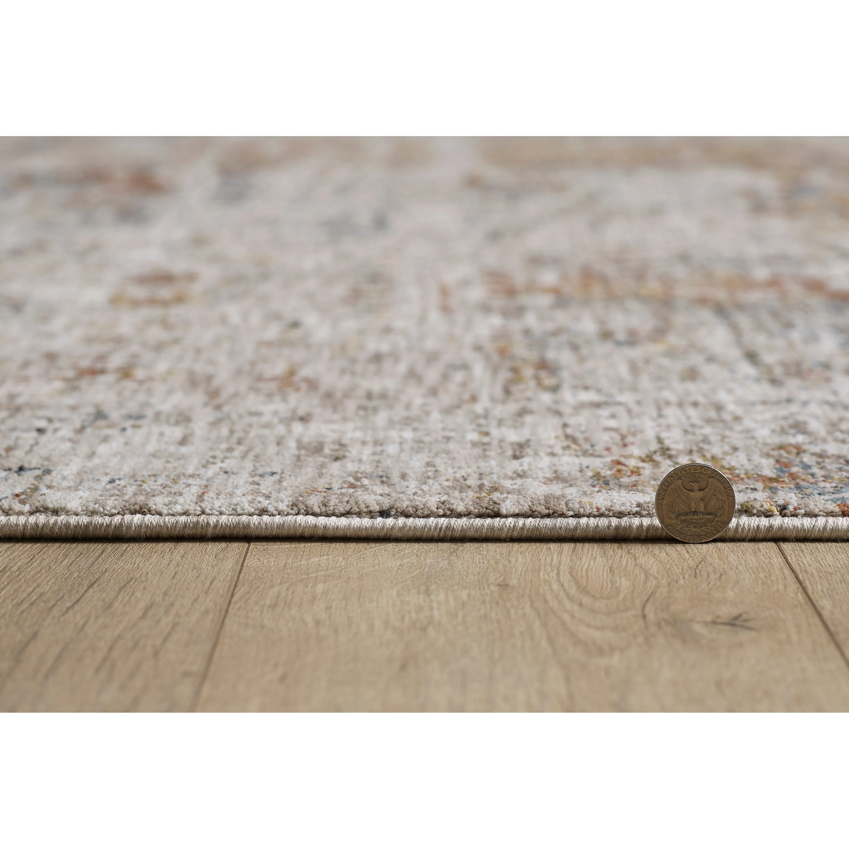 Domani Opulence Distressed In Nature Area Rug