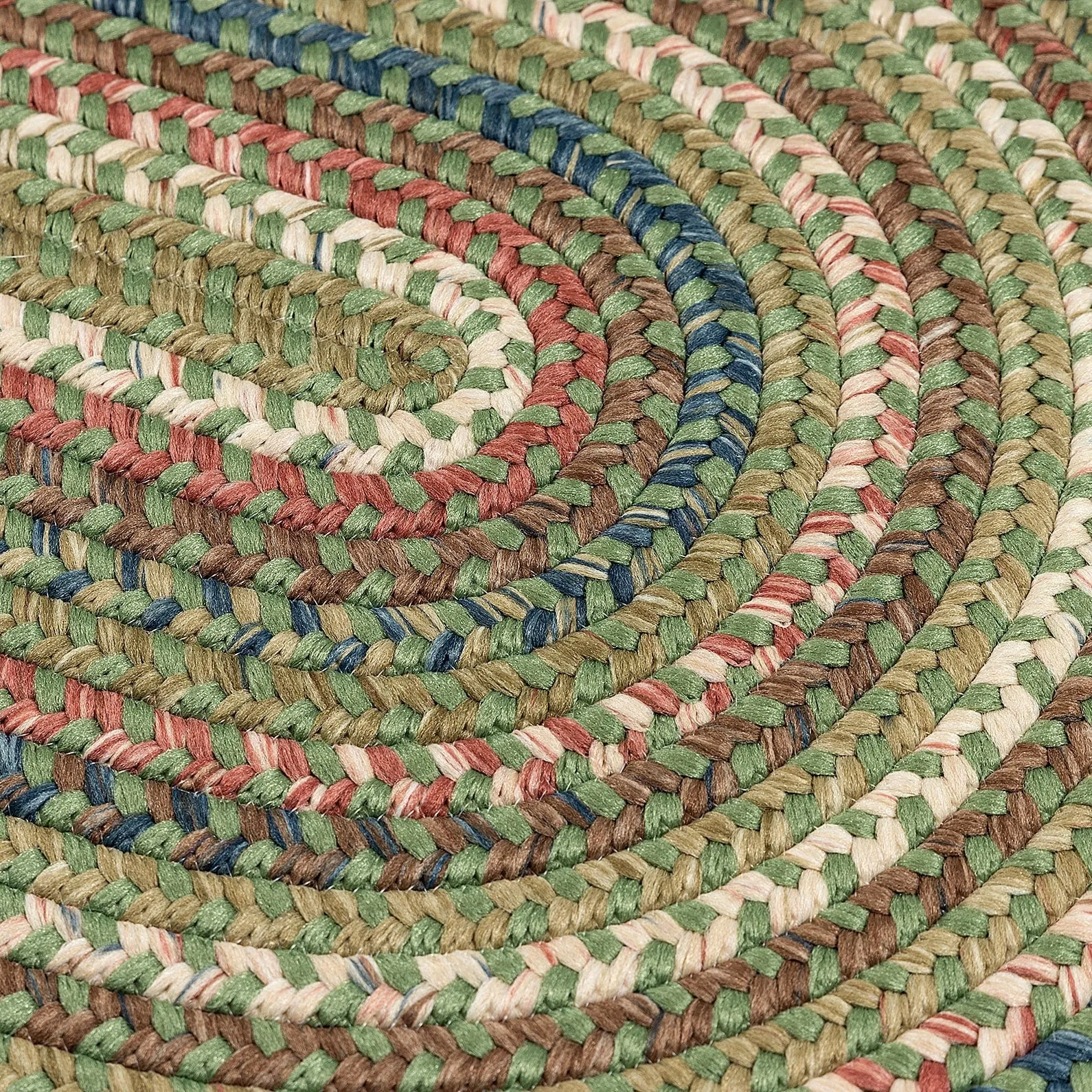 Greenwood Runner Transitional Braided Area Rug