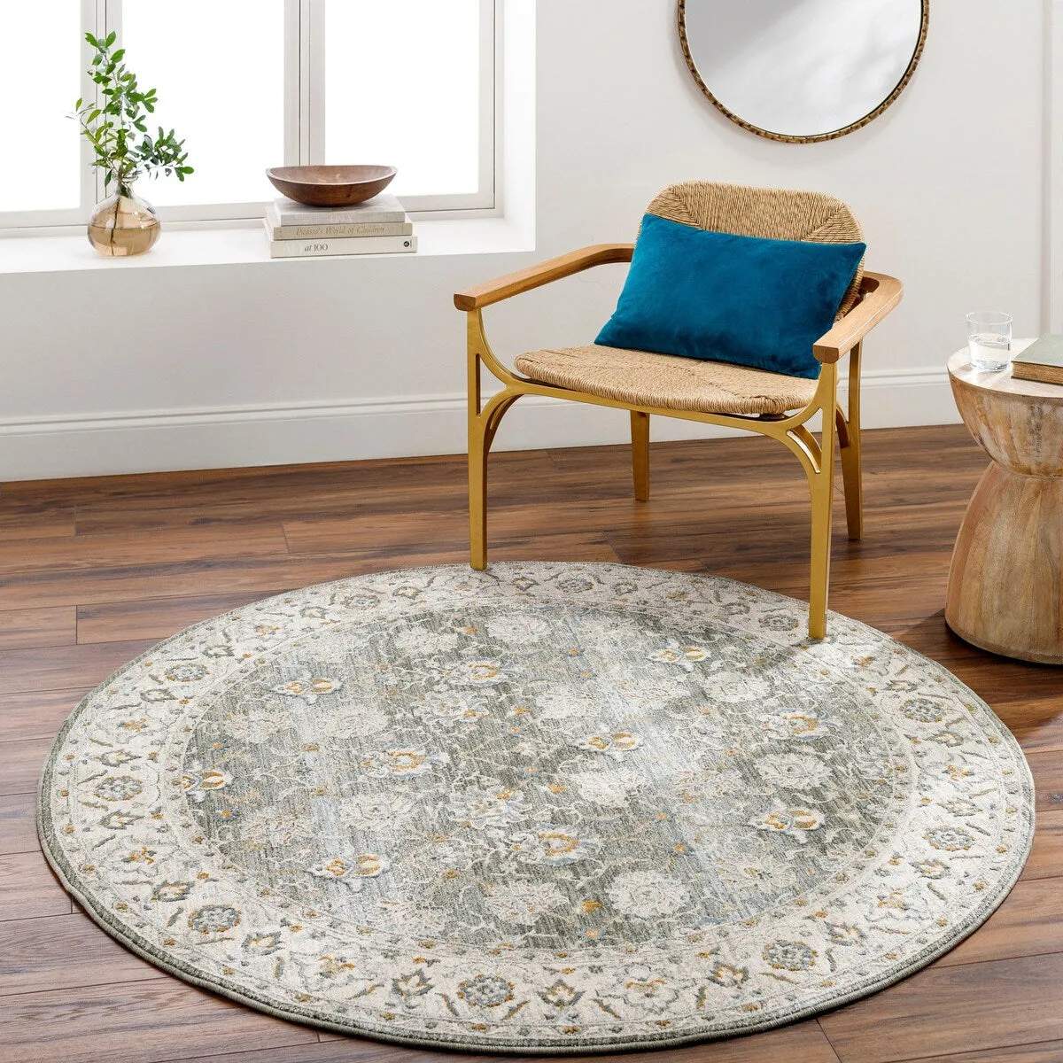Jaylin Transitional Area Rug