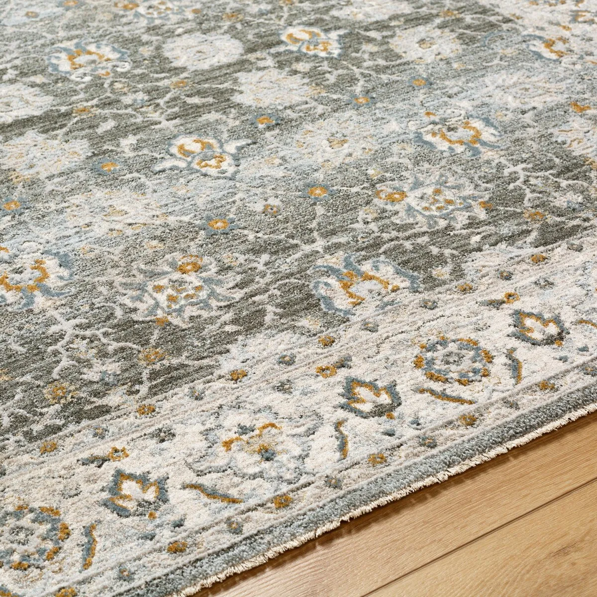 Jaylin Transitional Area Rug