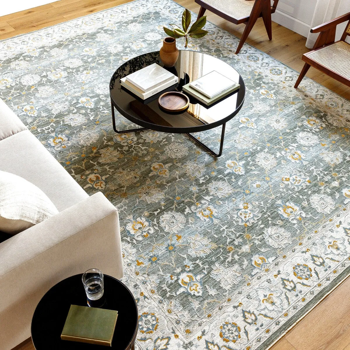 Jaylin Transitional Area Rug