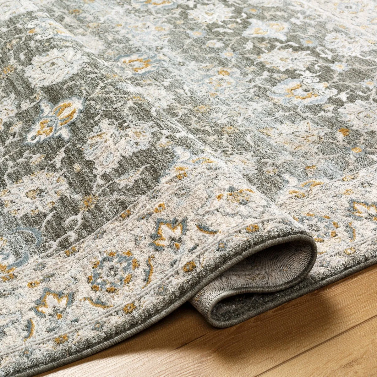 Jaylin Transitional Area Rug