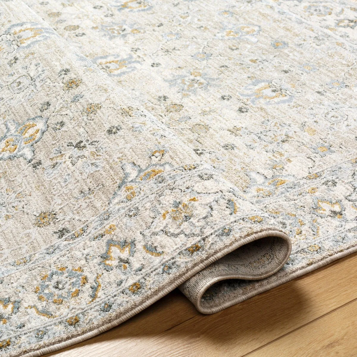 Jaylin Transitional Area Rug