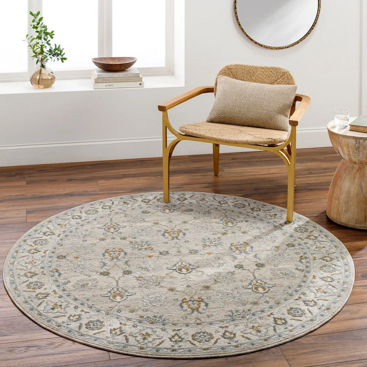 Jaylin Transitional Area Rug