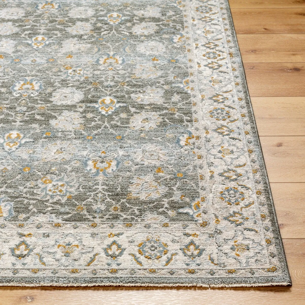 Jaylin Transitional Area Rug
