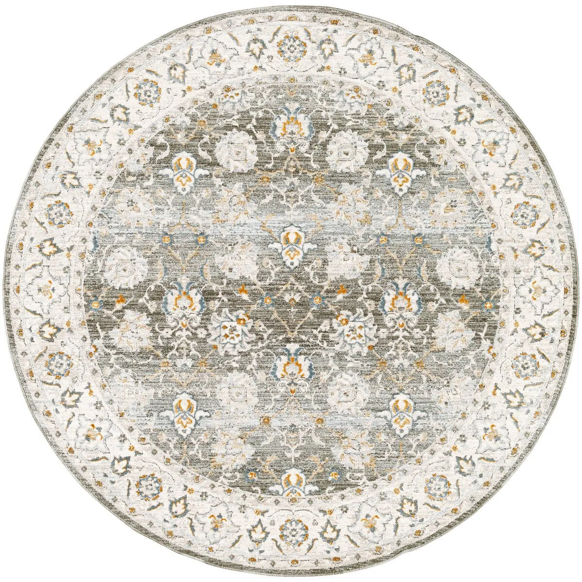 Jaylin Transitional Area Rug