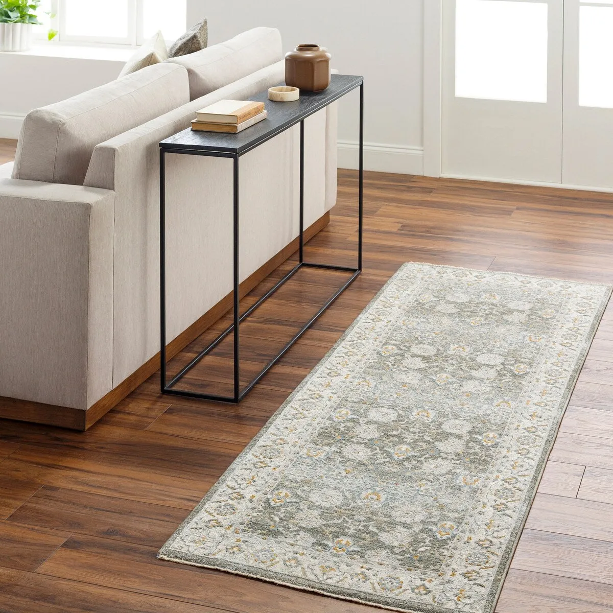 Jaylin Transitional Area Rug