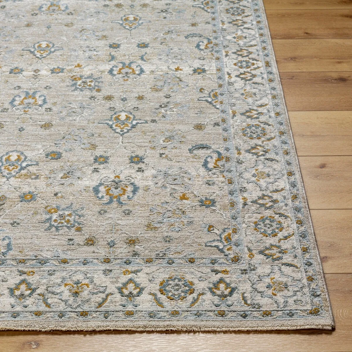 Jaylin Transitional Area Rug