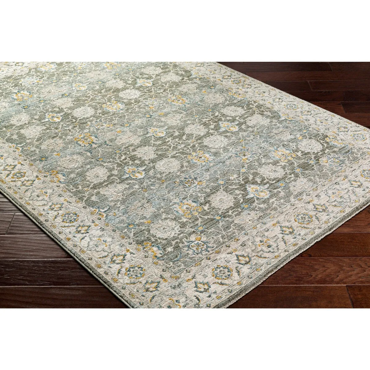 Jaylin Transitional Area Rug