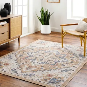 Livabliss Juliet Traditional Recycled Indoor / Outdoor Area Rug