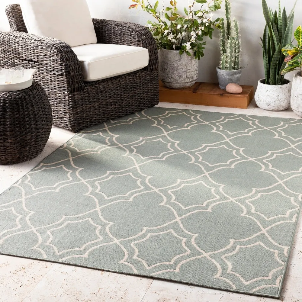 Livabliss Natasha Indoor/ Outdoor Transitional Trellis Area Rug
