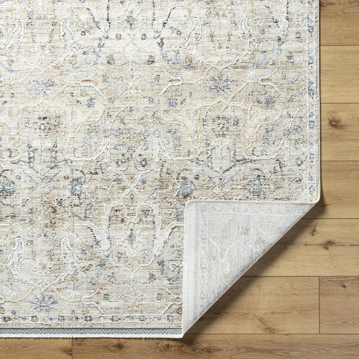 Livabliss Rivaldo Traditional Distressed Oriental Area Rug