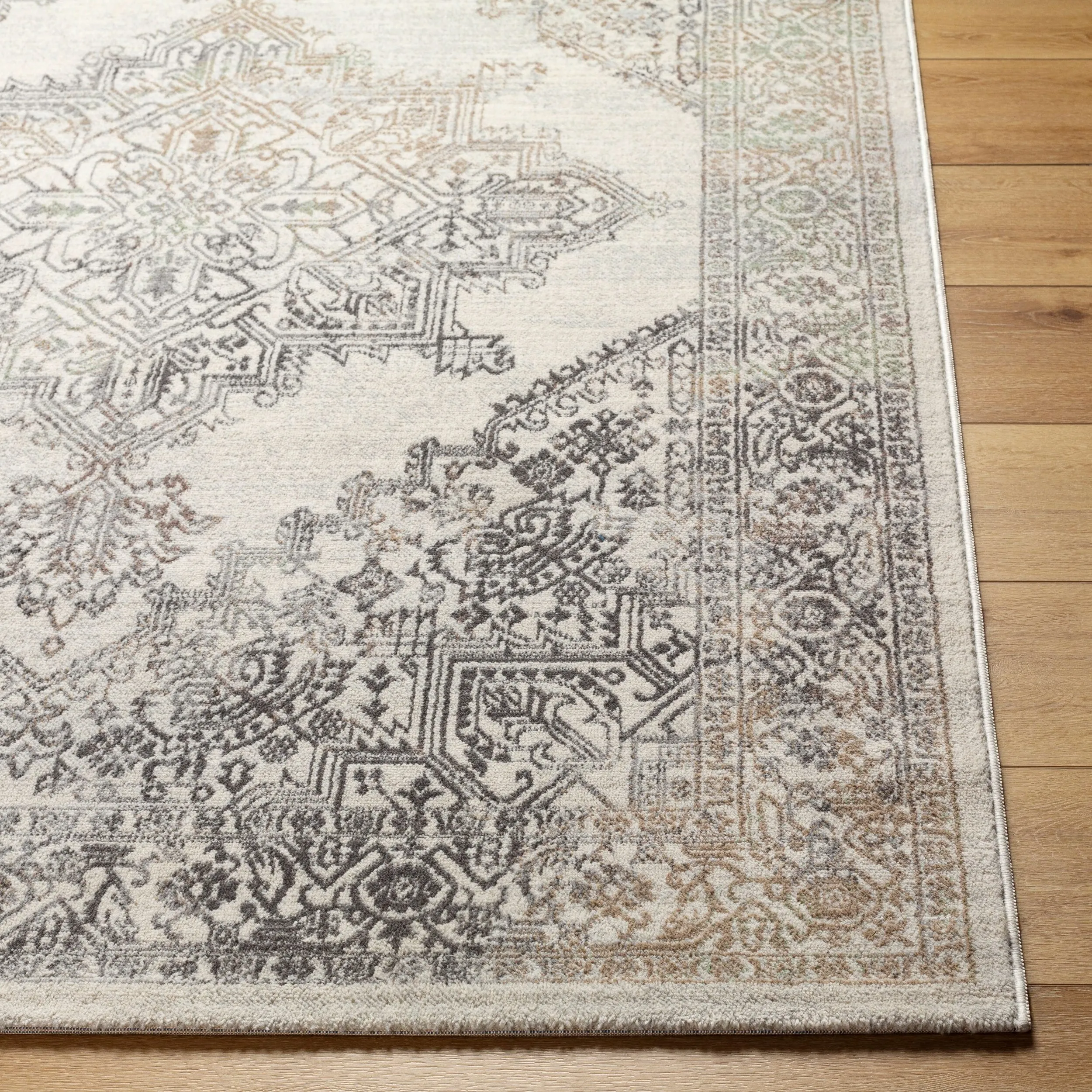 Livabliss Roma Updated Traditional Medallion Area Rug