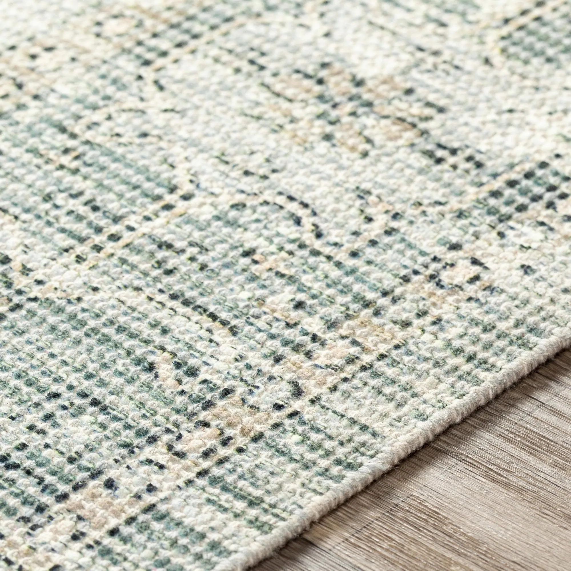 Livabliss Zainab Updated Traditional Medallion Hand Woven Area Rug