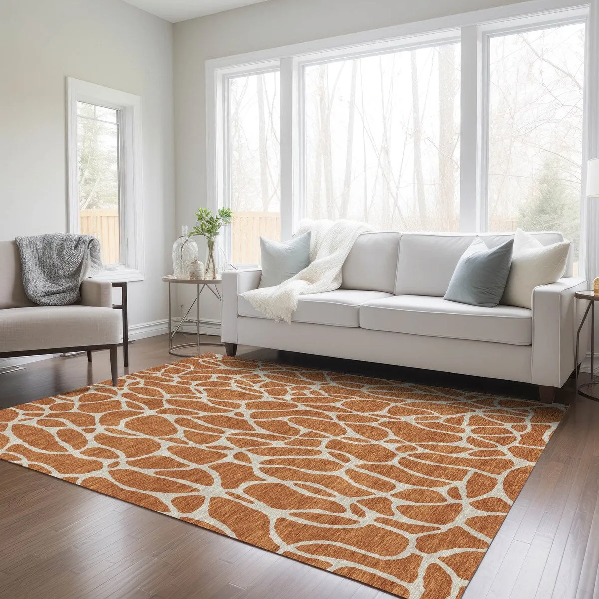 Machine Washable Indoor/ Outdoor Modern Chantille Rug