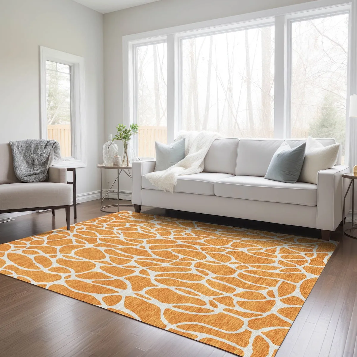 Machine Washable Indoor/ Outdoor Modern Chantille Rug