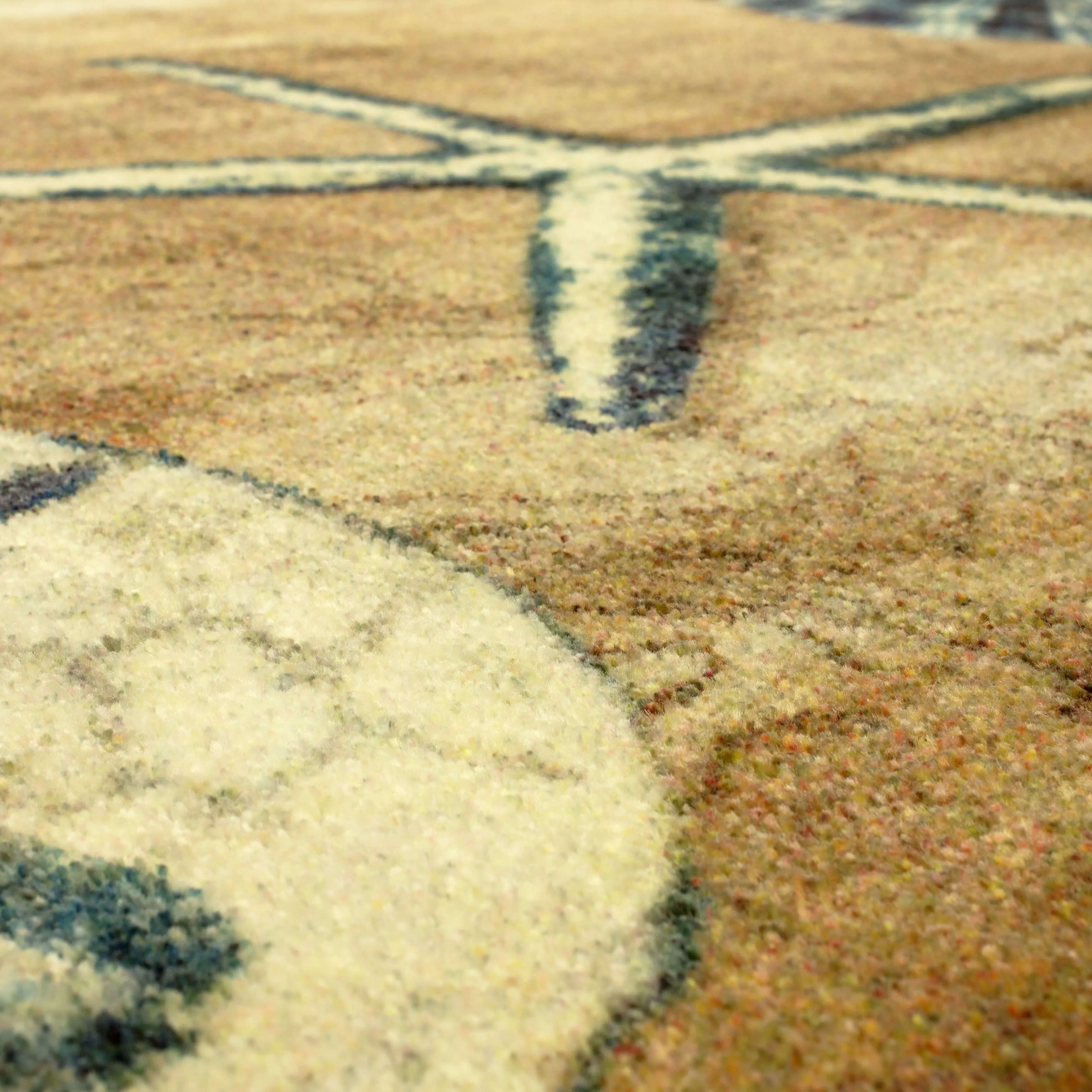 Mohawk Home Tide Pool Shells Coastal Area Rug