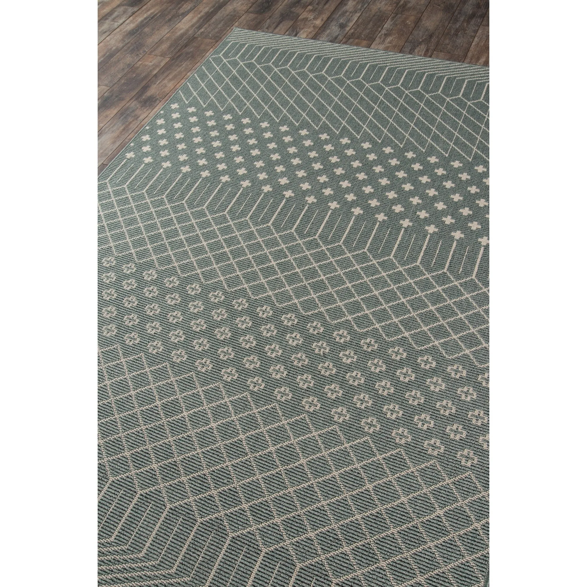Momeni Baja Minimalist Indoor Outdoor Area Rug