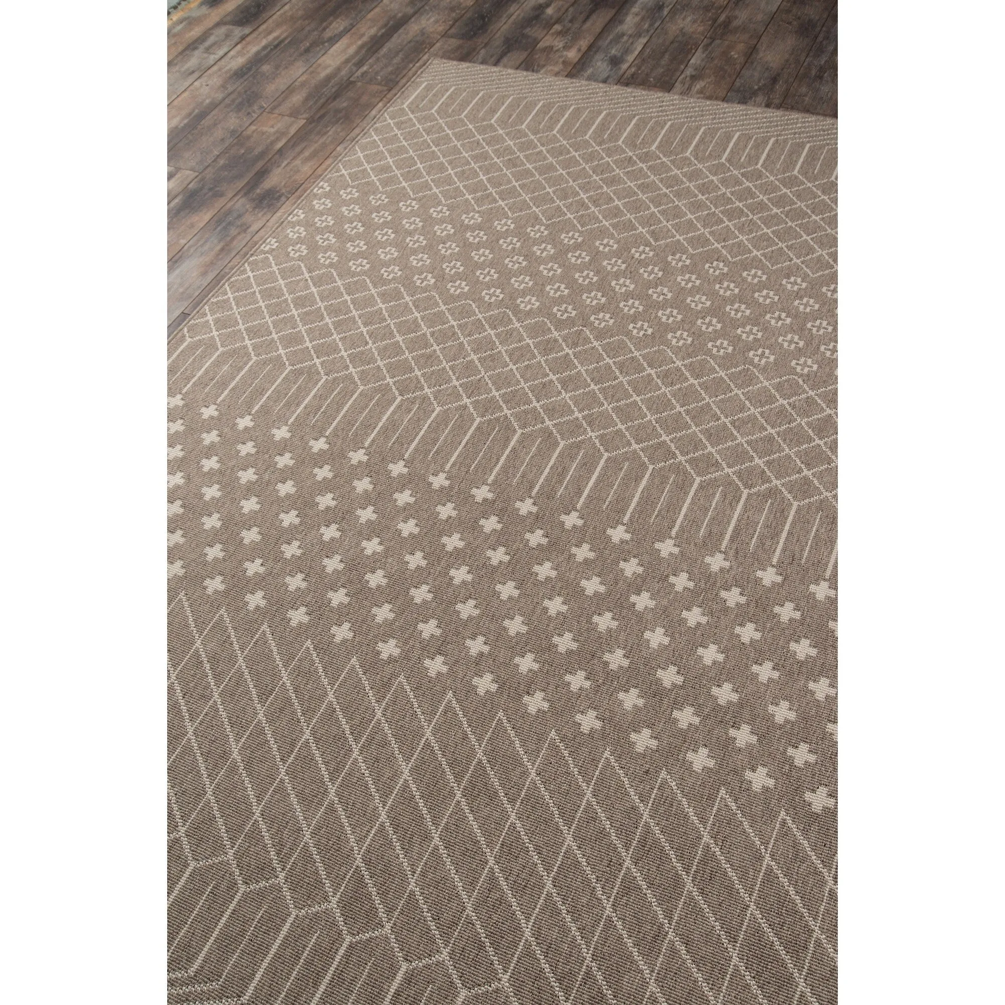 Momeni Baja Minimalist Indoor Outdoor Area Rug