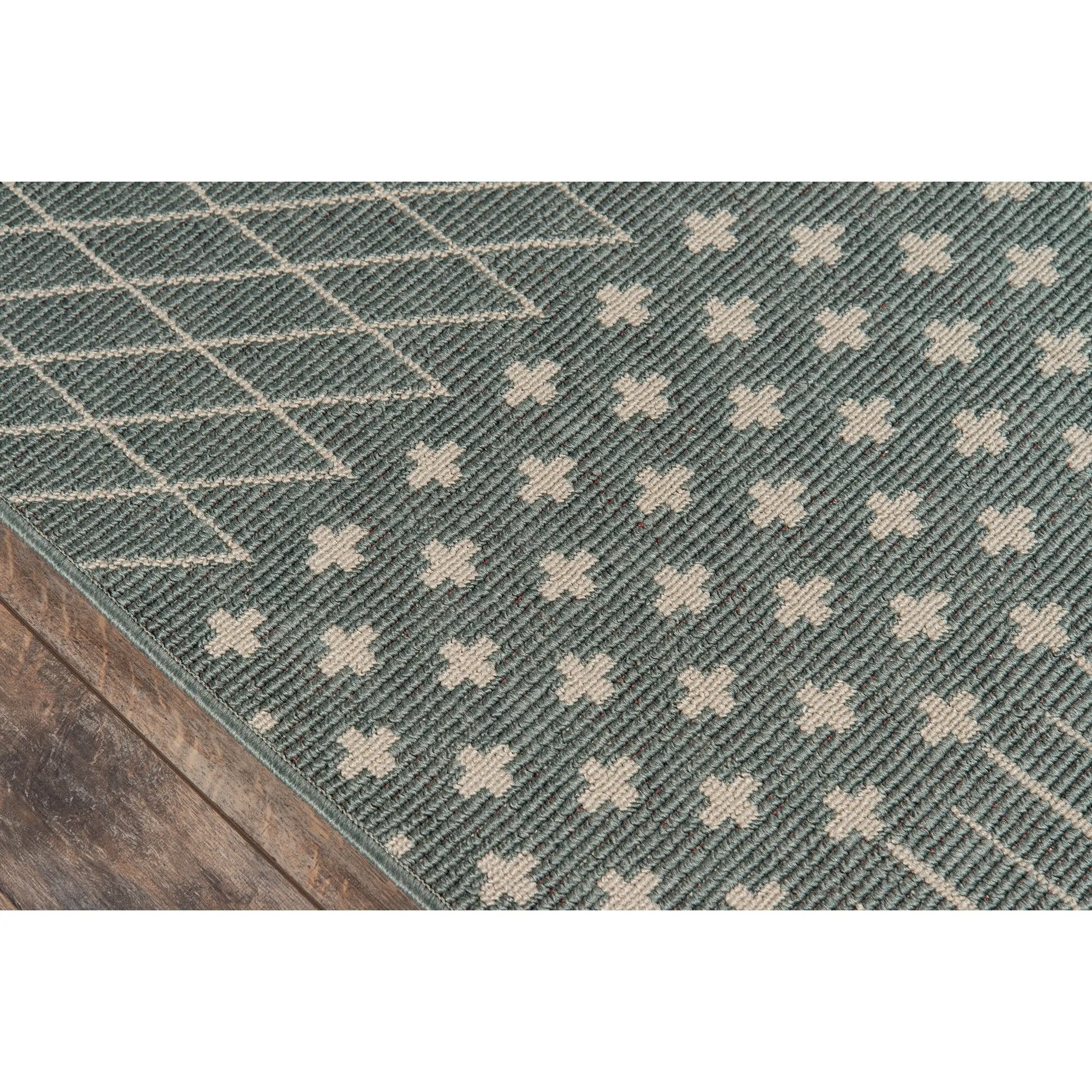 Momeni Baja Minimalist Indoor Outdoor Area Rug