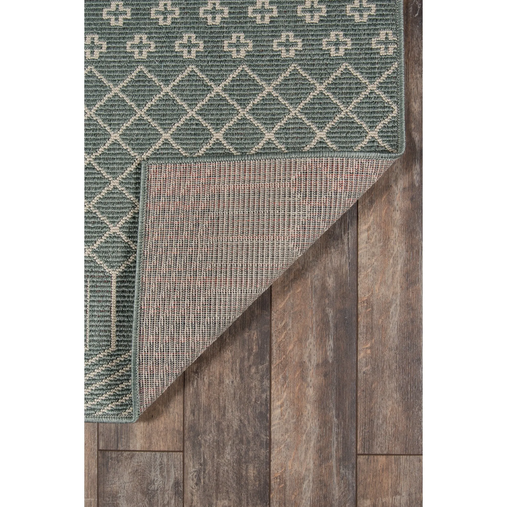 Momeni Baja Minimalist Indoor Outdoor Area Rug