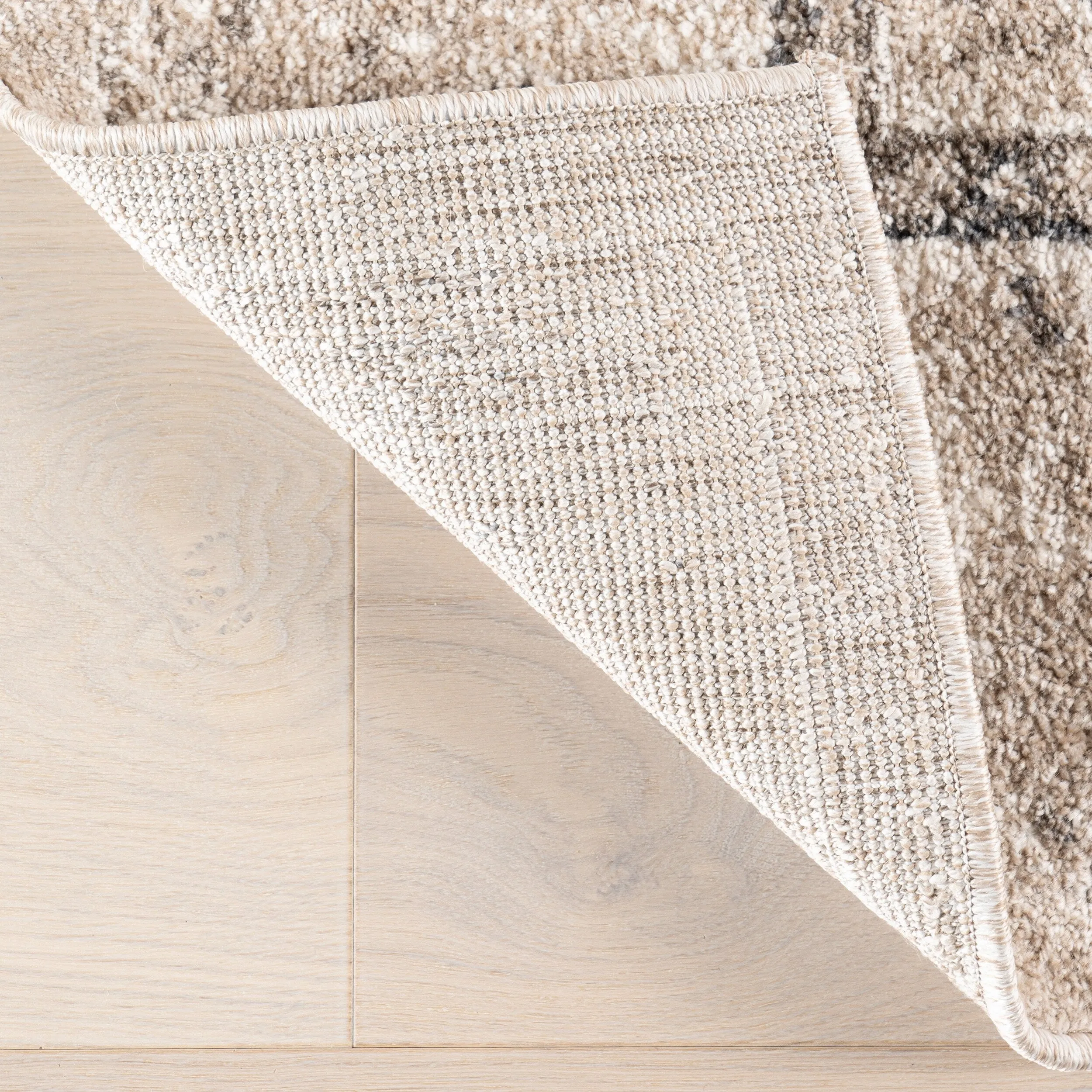 Nuloom Gena Distressed Transitional Medallion Area Rug